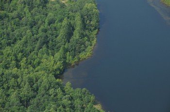 Property photo 24 - 1,025 Acres in 24 Tracts - Exellent Recreation Opportunity - Potential Building Sites - 11 Lakes & Ponds